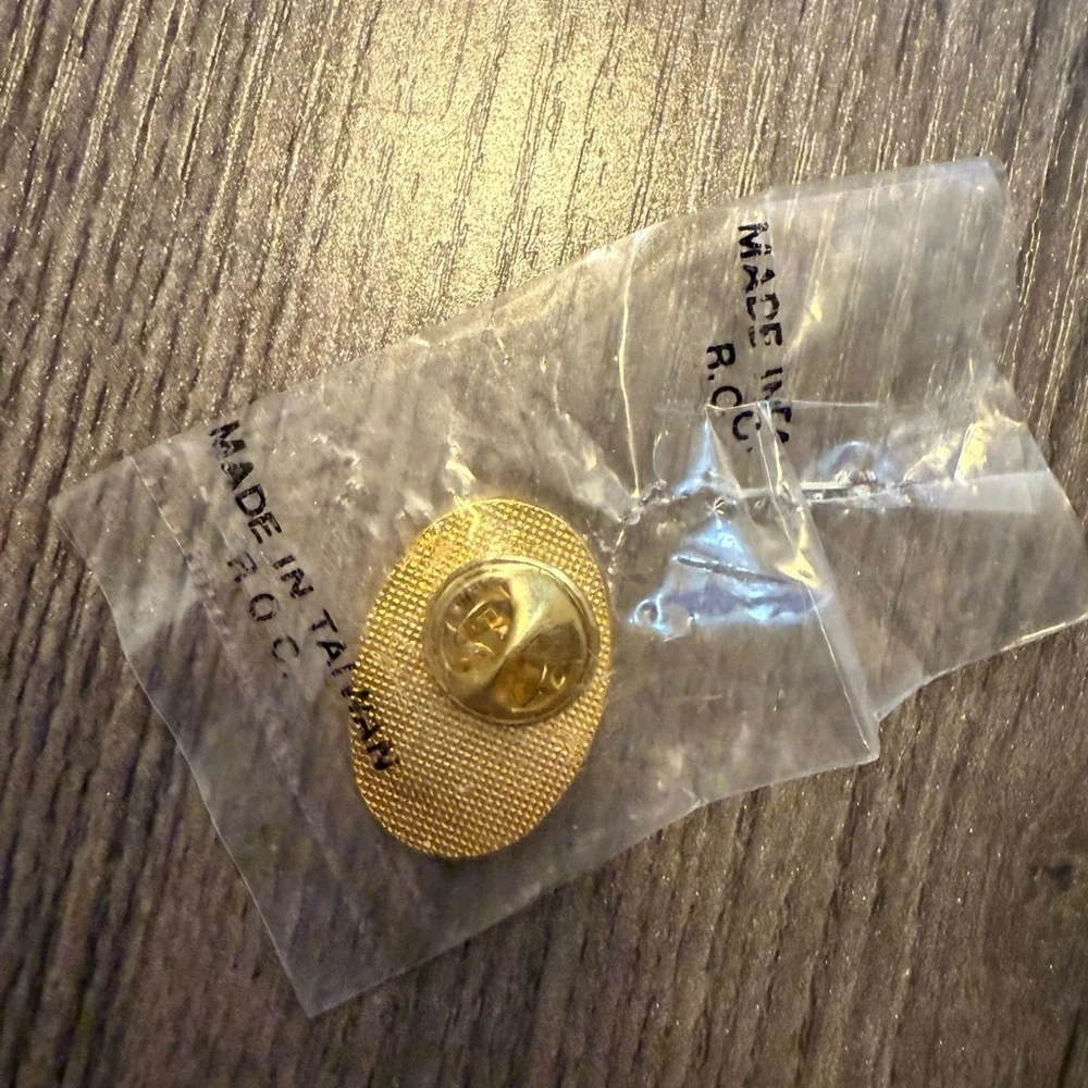 Vintage Black Mountain Lookout Tower Belknap Striders Souvenir Pin